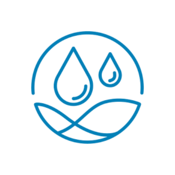 kim_icon-kneip-2