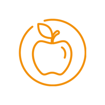 kim_icon-kneip-3